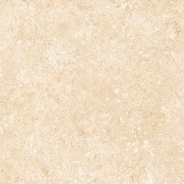 product card image